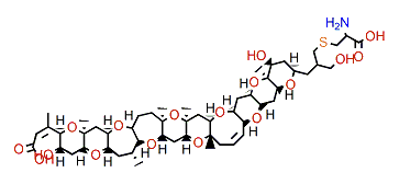 open A-ring S-Desoxy-brevetoxin B2